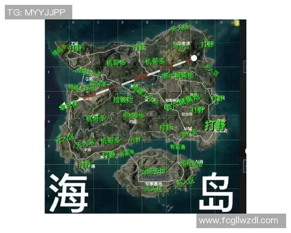 和平精英战术分析：WE战队中路突破策略深度解读与影响探讨